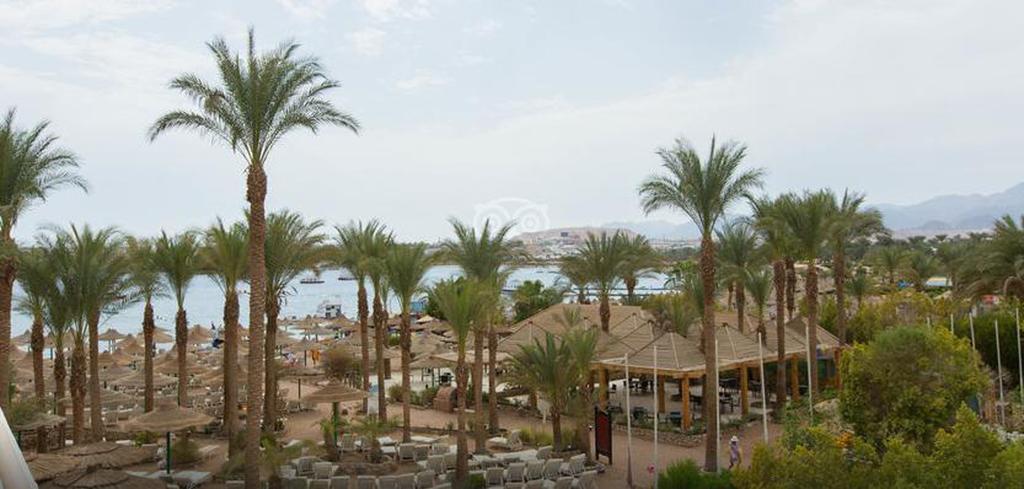 Hotel Oonas Dive Club Sharm El-Sheikh Exterior foto