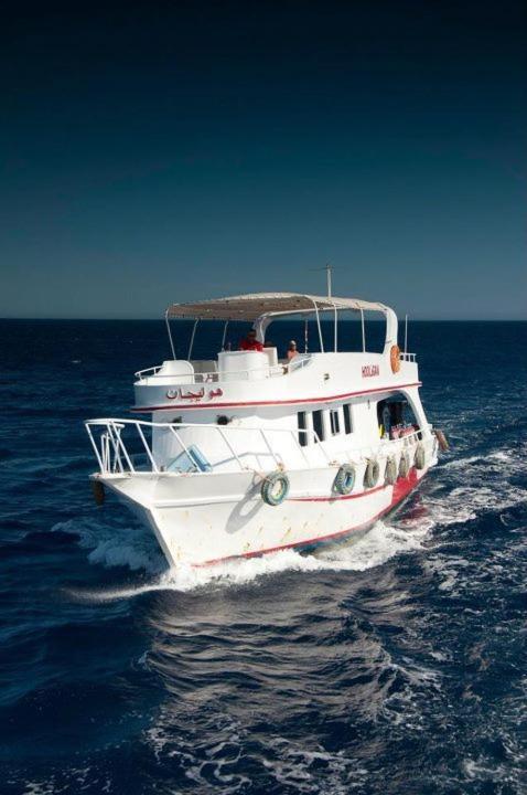 Hotel Oonas Dive Club Sharm El-Sheikh Exterior foto