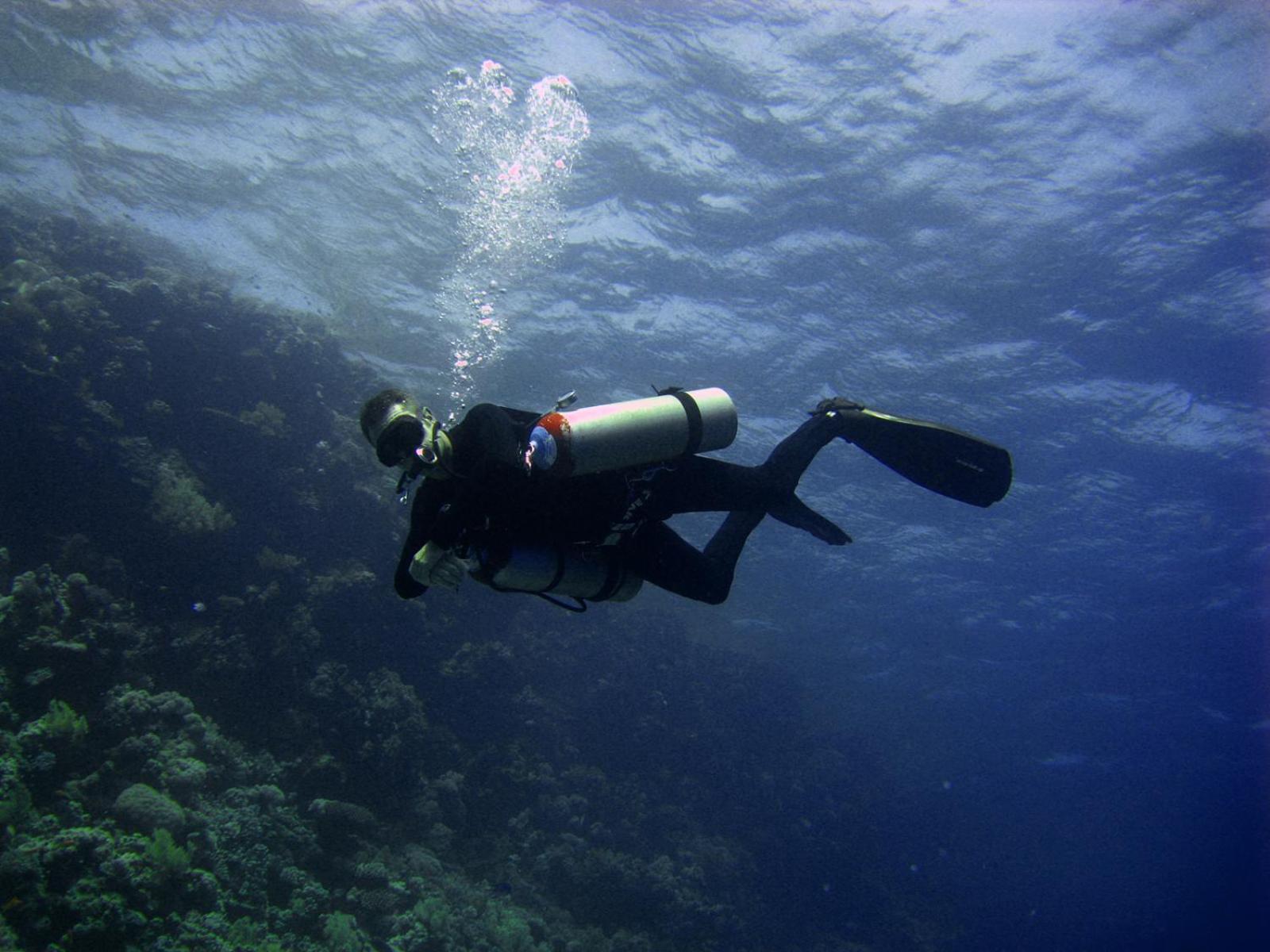 Hotel Oonas Dive Club Sharm El-Sheikh Exterior foto